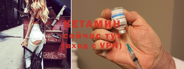 прущие грибы Новодвинск