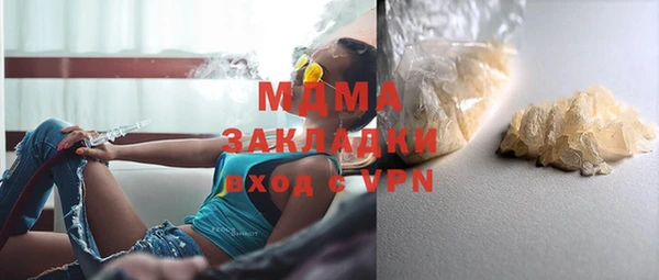 прущие грибы Новодвинск