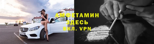 прущие грибы Новодвинск