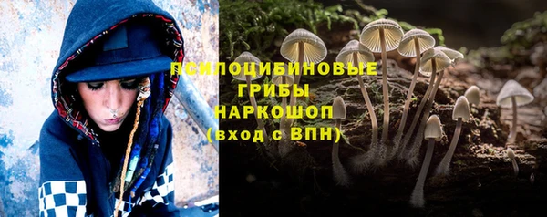 каннабис Новокубанск