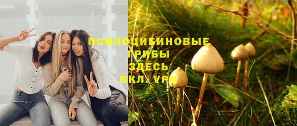 MESCALINE Новозыбков