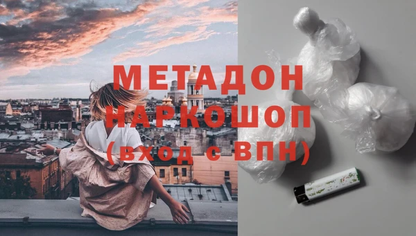 прущие грибы Новодвинск